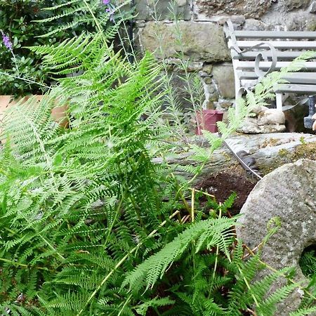 Dolifor Appartement Llanwrthwl Buitenkant foto