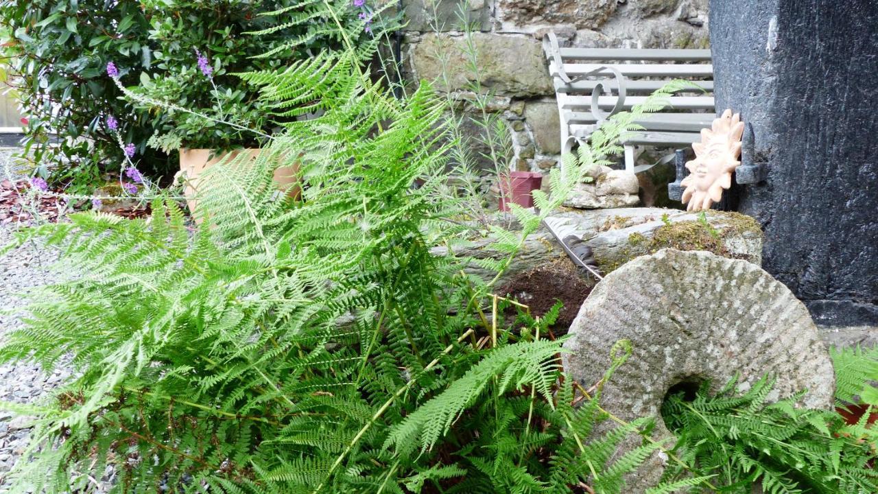 Dolifor Appartement Llanwrthwl Buitenkant foto