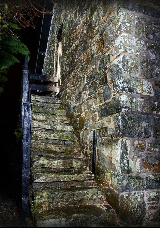 Dolifor Appartement Llanwrthwl Buitenkant foto