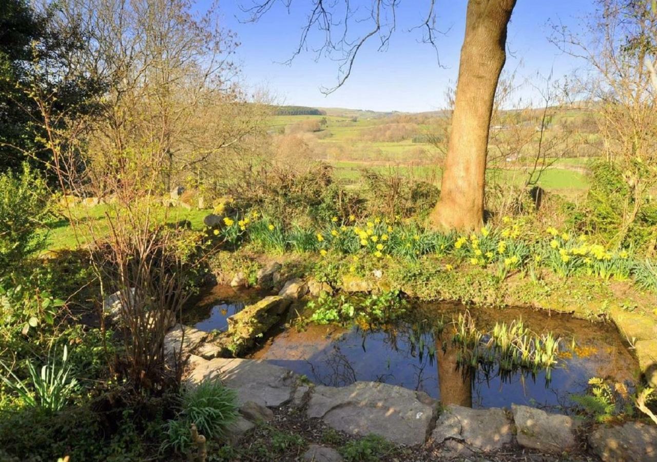 Dolifor Appartement Llanwrthwl Buitenkant foto